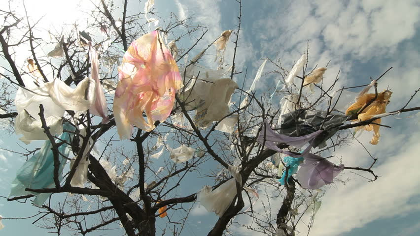 plastic.bag_.pollution